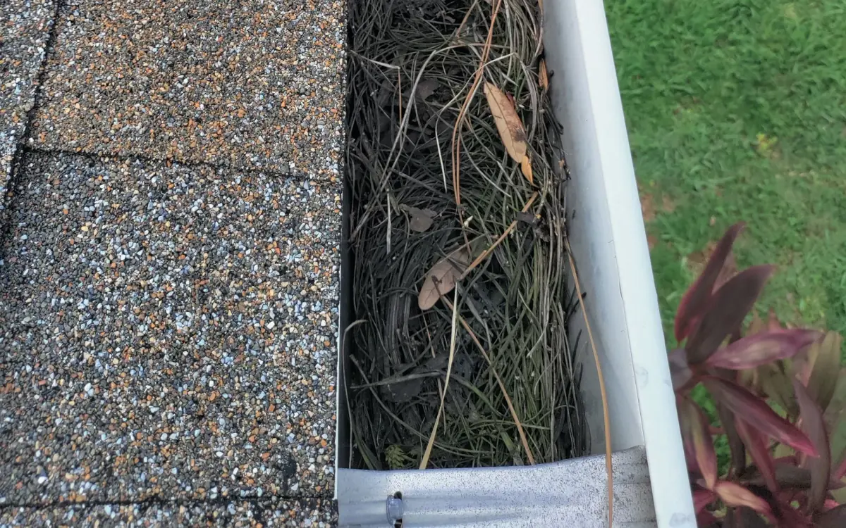 Cleanouts & Repairs